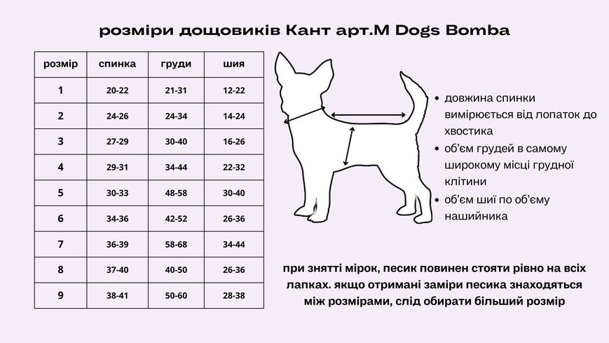 Дощовик кант зiрочки фiолет M-98 для собак 9 8884 фото