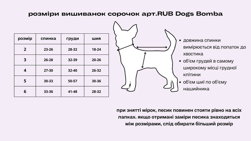 Сорочка Dogs Bomba Миккi RUB-36 для собак 2 4364 фото