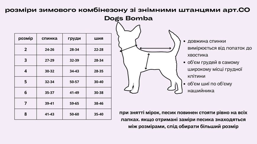 Комбінезон зі знімними штанами флок рожевий CO-26 10452 фото